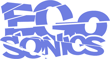 EgoSonics